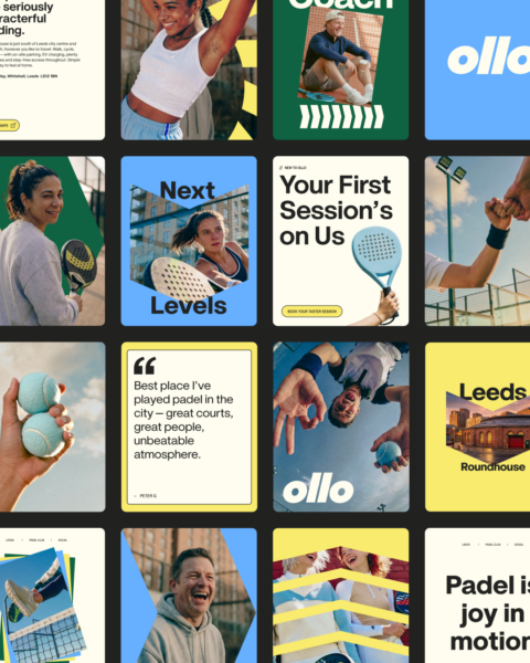 Ollo Web 17
