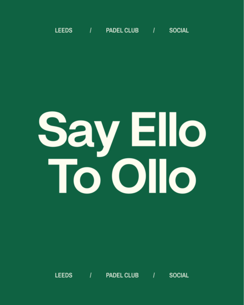 Ollo Web 6