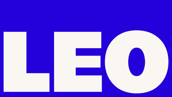 2 LEO Logo